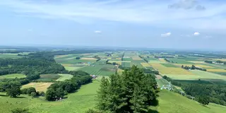 【北海道】初夏の十勝・帯広を堪能する充実の1泊2日旅