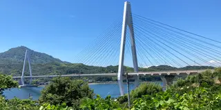 【しまなみ海道】初心者向け🚲日帰りでしま巡りサイクリング