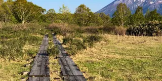 【岩手】地元グルメに巨大廃墟も！？盛岡周辺ぶらり旅🚘