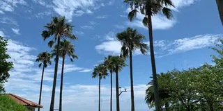 【山口県】岩国・柳井・周防大島を巡る1泊2日ドライブ旅🚗
