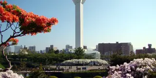 【行って損はない？！山？温泉？夜景？これら全てあります。観光都市函館の絶景温泉ツアー】