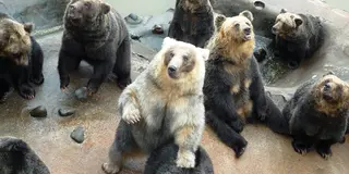 目指せ！どこへ行ってもインスタ映え
