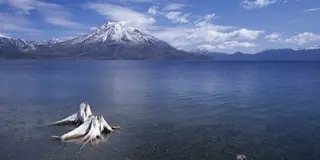 支笏湖にぜひ！気持ちのデトックスできますよー。