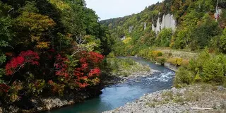 大雪山方面で紅葉を楽しむ秋の観光コース