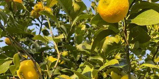 果物の楽園・福島🍎道の駅巡りメインの日帰りドライブ〜話題の映えスポットに温泉も