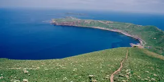 【星と花と海】北海道の北の離島巡り