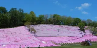 【北海道】ホリデースタッフが次に注目している遠軽エリアの緑豊かな自然と歴史が融合する癒しの旅プラン