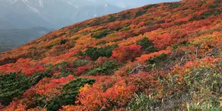 【宮城】シーズン到来！紅葉の名所🍁栗駒山を訪れる1泊2日