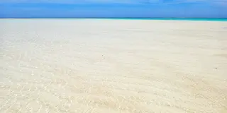 【ヨロン】ゴリ押しスポット集❣️