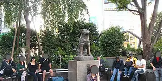 【渋谷】私の定番コース♩