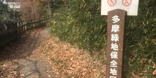 よみうりランド里山散歩 中華と日帰り温泉でまったり