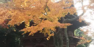 市川駅から真間山まで歴史を感じるお散歩