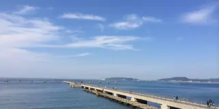 わんこと南房総