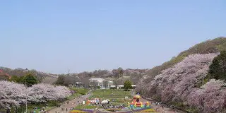 神奈川県で子連れで遊ぶとこ