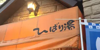 湘南でラン二ング