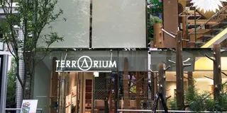 クリスマス🎄綺麗になれる表参道の無料美容スポット☺︎