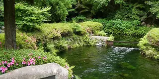 日本一の名水で和紙漉き体験! 動画紹介中♪