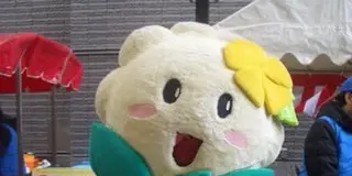 まち全体が博物館！平野郷まちぐるみ博物館に出かけよう！