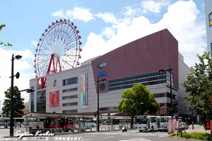 女子1人で楽しむ‼︎1泊2日鹿児島プランの旅‼︎