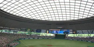 唯一無二の屋根付きドームで自然を感じながら野球観戦