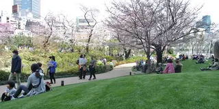 六本木〜東京タワーをお散歩。美味しいフランスのパンにも出会った♡