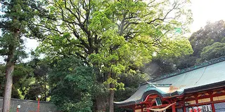温泉だけじゃない！素敵な別府♡