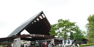 【阿蘇・体験】ファミリーで阿蘇を楽しむならココ！体験&外遊びスポットを巡る旅