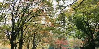 お仕事だけじゃない！週末に満喫する日比谷・丸の内・大手町さんぽ♡