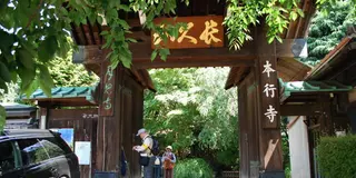 【台東区 谷根千】御朱印めぐり(13ヶ所1日コース✌️)お寺参りと谷中散策、ショップやカフェ巡り☕️