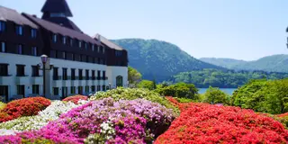 癒しを求めて芸術と食の旅【箱根】