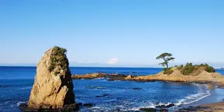 葉山の海を巡る🌊🐚