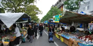 お手軽な日曜日の高知市内観光コース