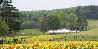 国営武蔵丘陵森林公園