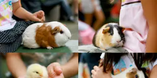 パパ～いっしょに遊ぼうよ！ こども自然公園 ～予算は０円？