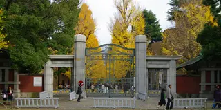 お正月休みにもいかが？     レトロ情緒満喫さんぽ〜本郷通・御茶ノ水界隈を歩いてみよう〜