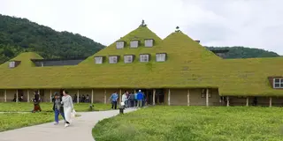 元祖近江商人発祥の町！近江八幡の古い町並みと水郷めぐり