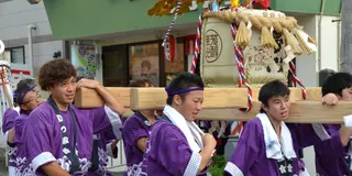 ディープな観光体験！神輿の担ぎ手になれる！
