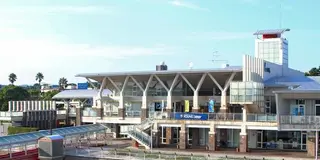 島原半島クルージングで野生のイルカ鑑賞