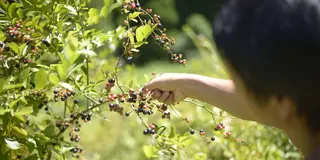 【阿蘇郡・南小国町】ファミリーで行くならココ。体験&温泉の旅