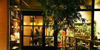 🌱 身体に優しいカフェ 🌱