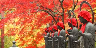 伊勢原大山寺紅葉🍁