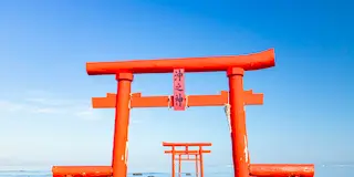 春の絶景　唐津・太良