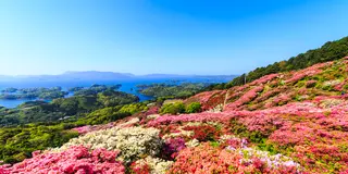 春のドライブ　佐世保～松浦