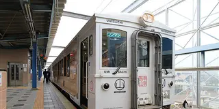 神話の家を探検させてもらおう！宮崎県南満喫ツアー！~海幸山幸編~