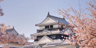 贅沢！愛媛を全て満喫する旅