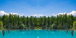 全国の行きたいところ！🌳♨️