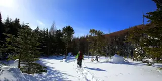 新年にスノーシューでまっさらな白銀の雪原を歩く！／乗鞍高原