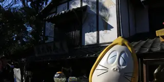 都内癒しスポット・深大寺散策からの…三鷹の小古道具カフェ♡