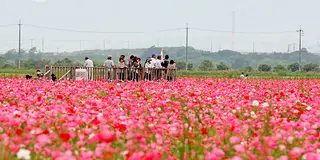 隣りまち福山人が紹介する笠岡おススメプラン