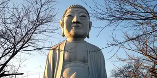 名古屋とその周辺に存在する「大仏様」だけを巡る旅